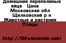 Домашние перепелиные яйца › Цена ­ 100 - Московская обл., Щелковский р-н Животные и растения » Птицы   